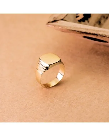 Sello oro 18k amarillo hueco caballero gallones 13x12mm
