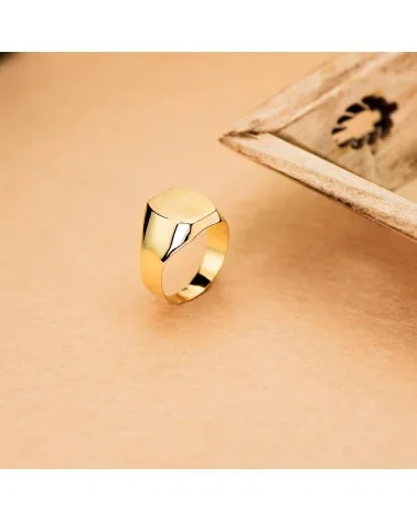 Sello oro amarillo 18k caballero hueco 14x12mm