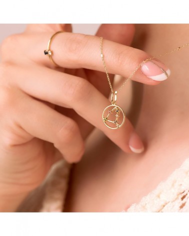 Colgante oro 18k horóscopo Capricornio circonita 12mm
