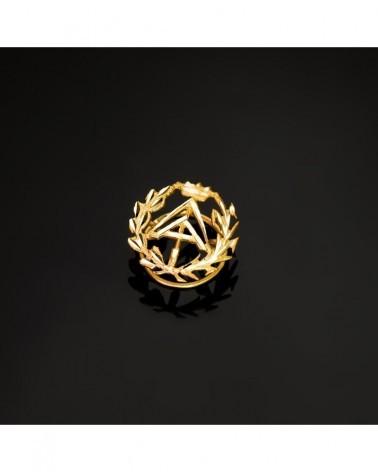 Insignia oro 18k aparejador arquitecto técnico 16x15mm