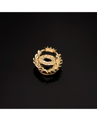 Insignia oro 18k Ciencias Biológicas 16x16mm