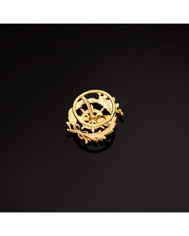 Insignia oro 18k Ciencias Políticas 17x14mm