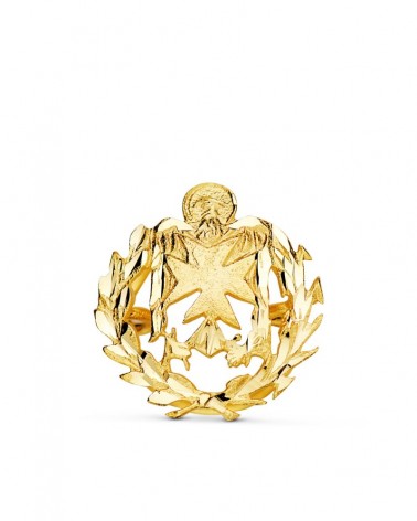 Insignia oro 18k enfermería profesional 17x15mm