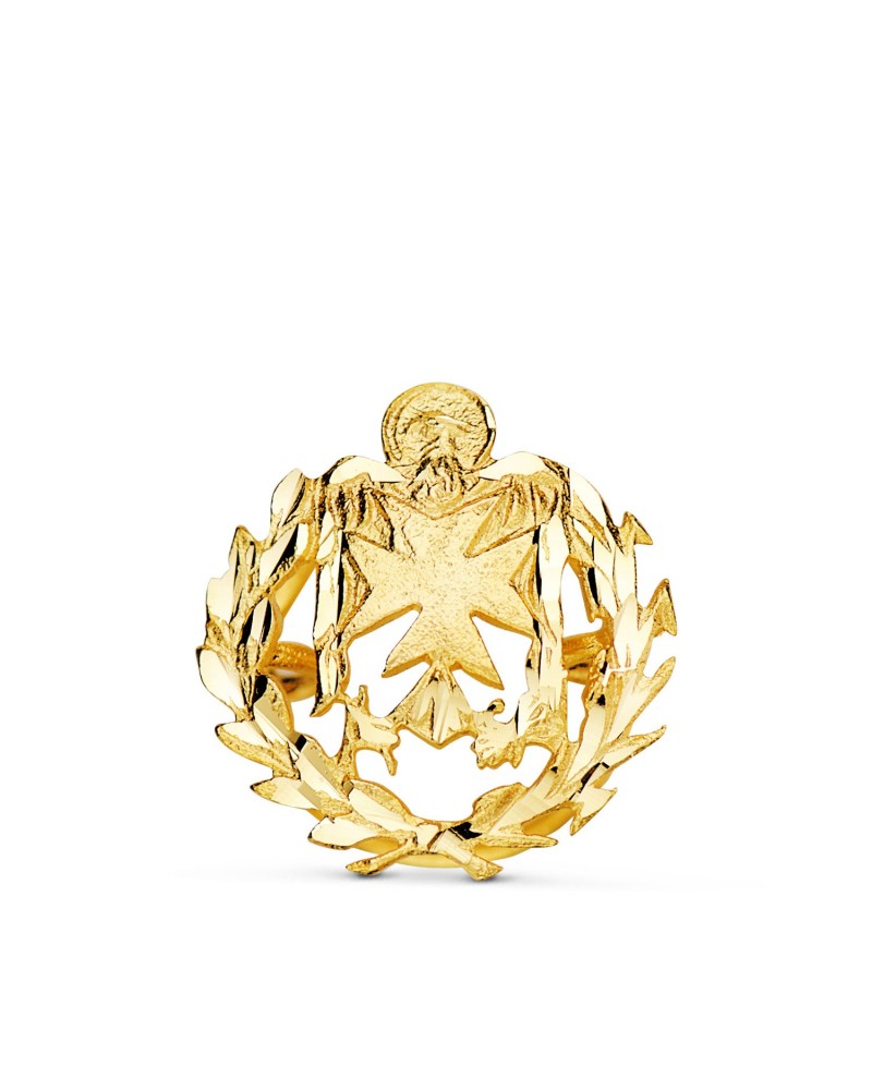 Insignia oro 18k enfermería profesional 17x15mm