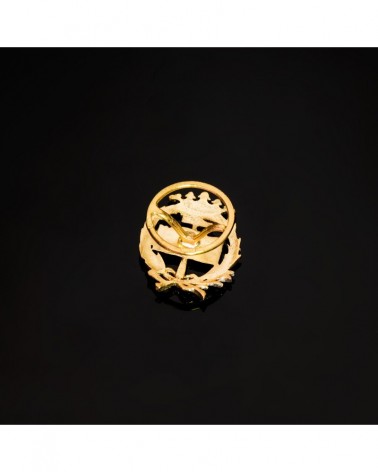 Insignia oro 18k geológicas corona 17x14mm