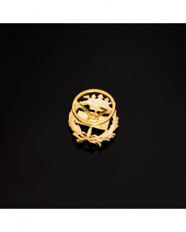 Insignia oro 18k geológicas corona 17x14mm