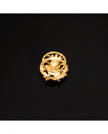 Insignia oro 18k geografía con corona 17x14mm