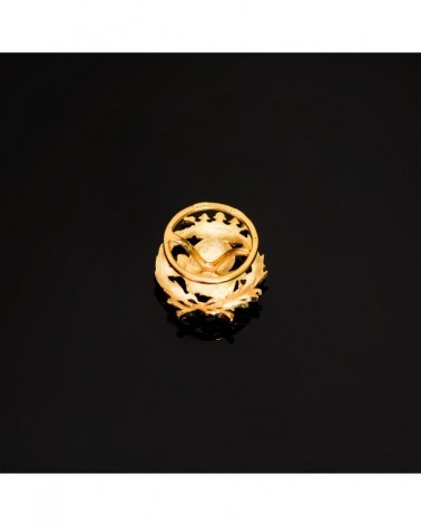 Insignia oro 18k geografía con corona 17x14mm