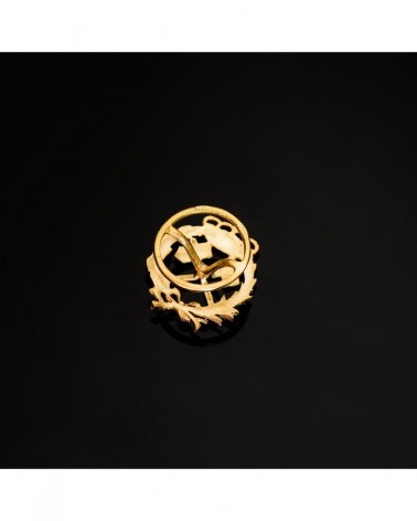 Insignia oro 18k Ingeniero Minas profesional 17x14mm