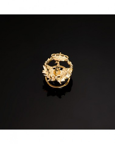 Insignia oro 18k Ingeniero Naval 17x14mm