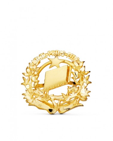 Insignia oro 18k profesional notario 16x16mm