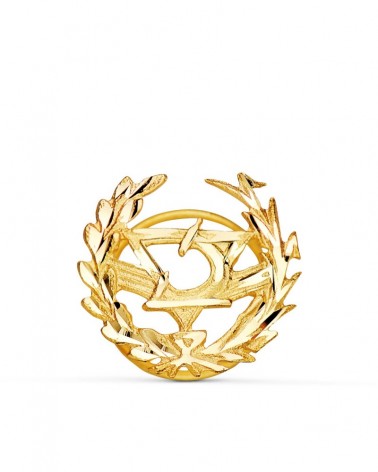 Insignia oro 18k óptica profesional 16x15mm