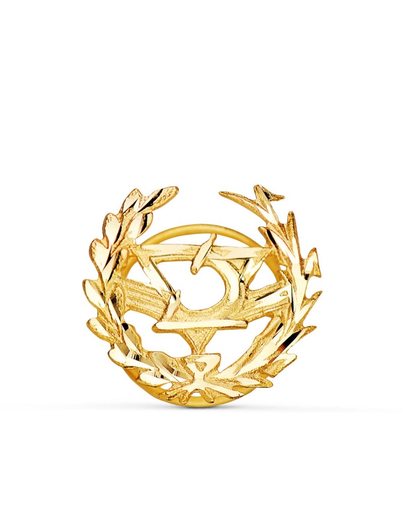 Insignia oro 18k óptica profesional 16x15mm