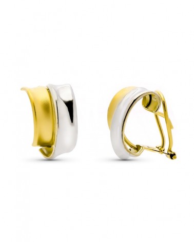 Pendientes oro 9k bicolor cierre omega 14x9 mm