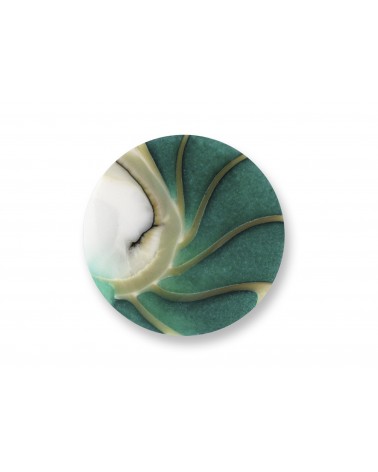 MI MONEDA MEDIANA CONCHA VERDE NAUTILUS DELUXE OCEAN GREEN NAU-LU-34-M