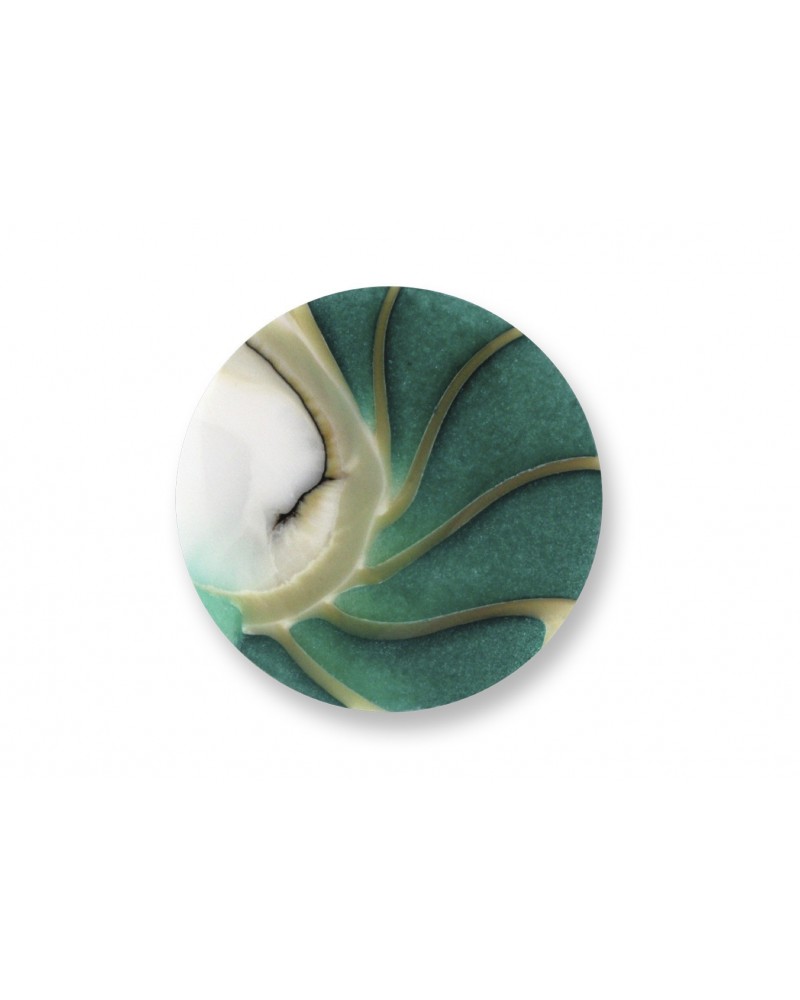MI MONEDA MEDIANA CONCHA VERDE NAUTILUS DELUXE OCEAN GREEN NAU-LU-34-M