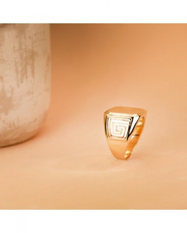 Sello oro 18k amarillo caballero tallado 18x17mm