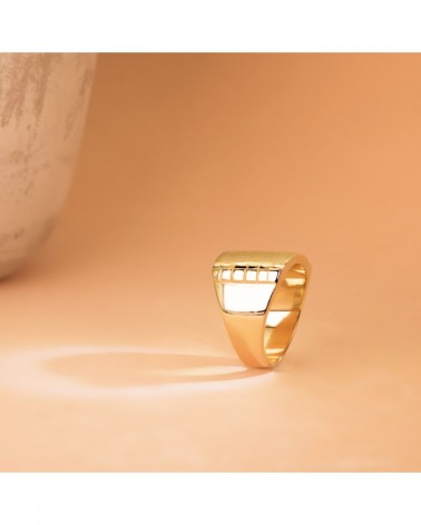 Sello oro 18k amarillo caballero tallado 15x15mm