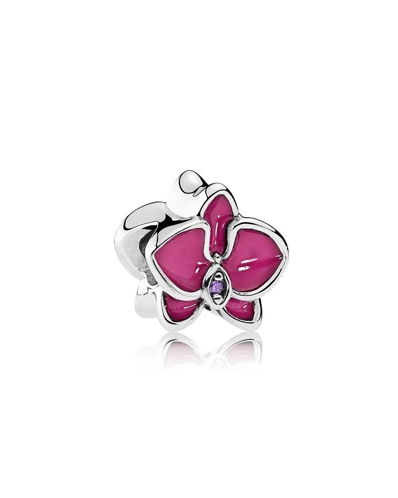 CHARM PANDORA 79207EN69