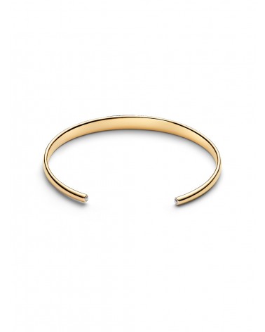 Pulsera Pandora Rígida Grabable 564754C01 - foto 3