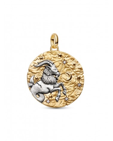 Charm Pandora Medallón XL Zodiaco Capricornio 764999C01