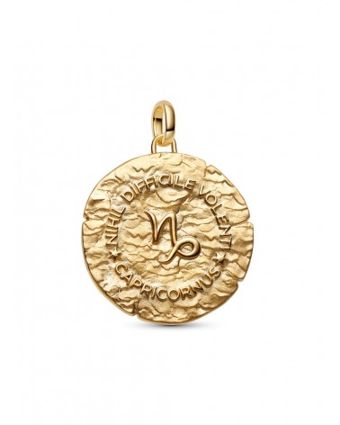 Charm Pandora Medallón XL Zodiaco Capricornio 764999C01 - foto 2