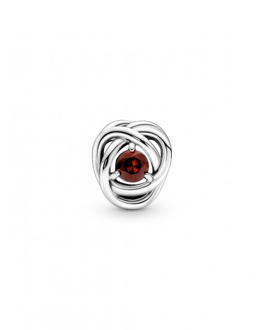 Charm Pandora Círculo Eternity Enero 790065C06 - foto 3