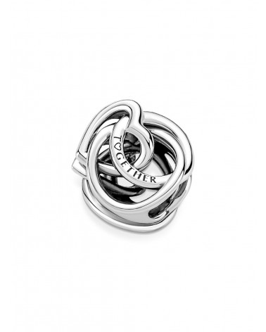 Charm Pandora Corazón Círculo Familiar Siempre 791507C00 - foto 2