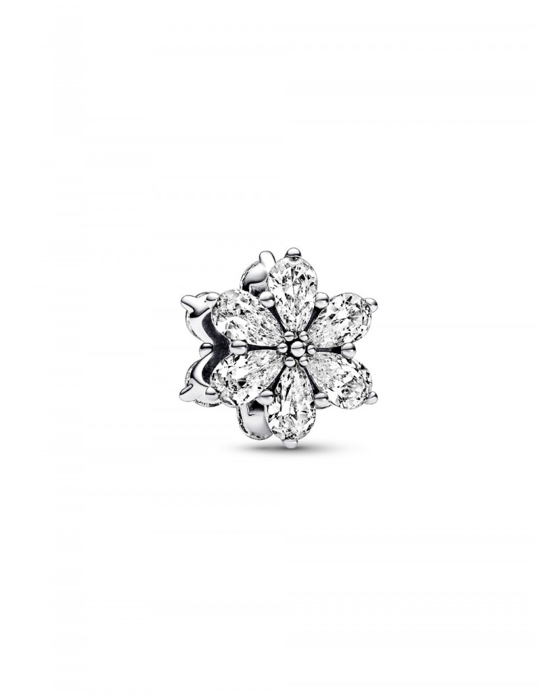 Charm Pandora Herbario Brillante 792623C01