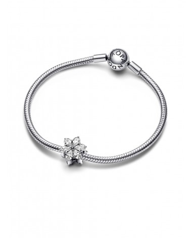 Charm Pandora Herbario Brillante 792623C01 - foto 2
