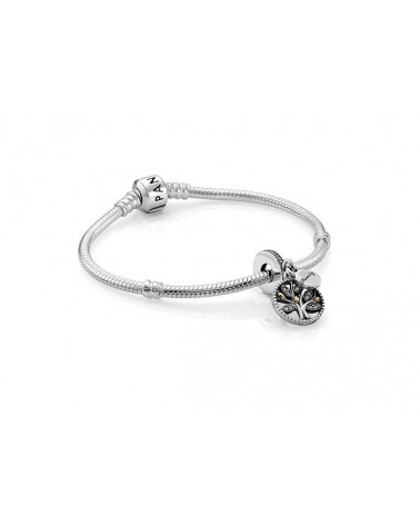 PACK PANDORA PULSERA Y CHARM