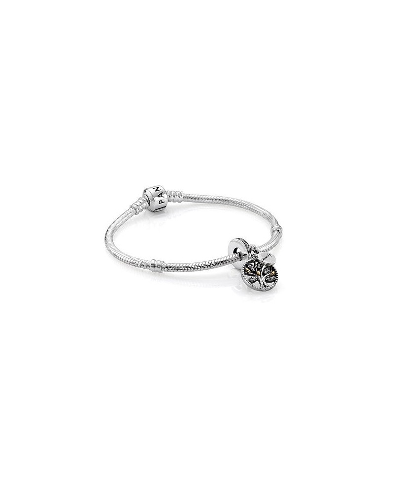 PACK PANDORA PULSERA Y CHARM