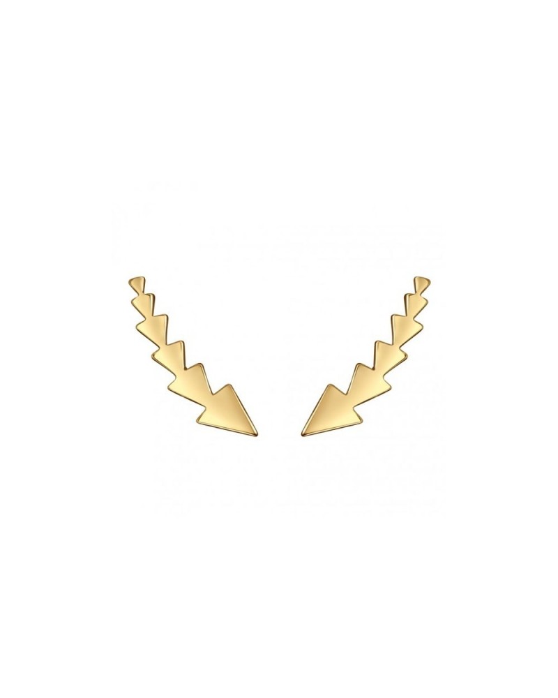 PENDIENTES TREPADORES PLATA