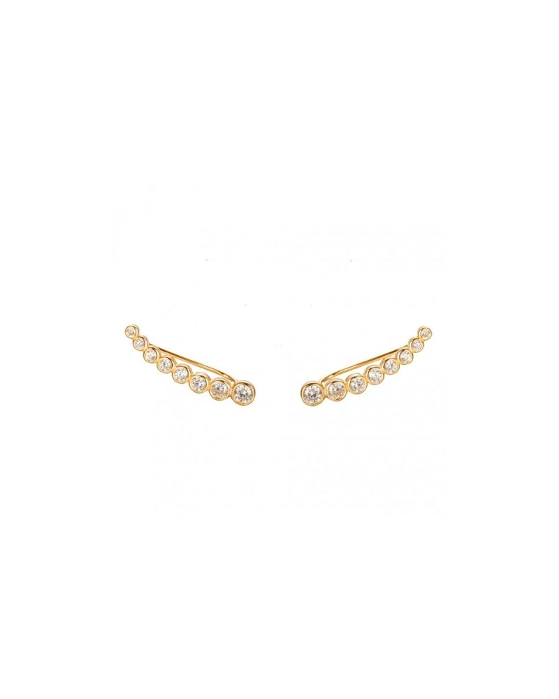 PENDIENTES TREPADORES PLATA