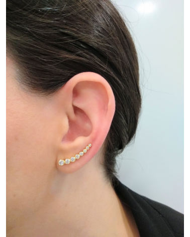 PENDIENTES TREPADORES PLATA