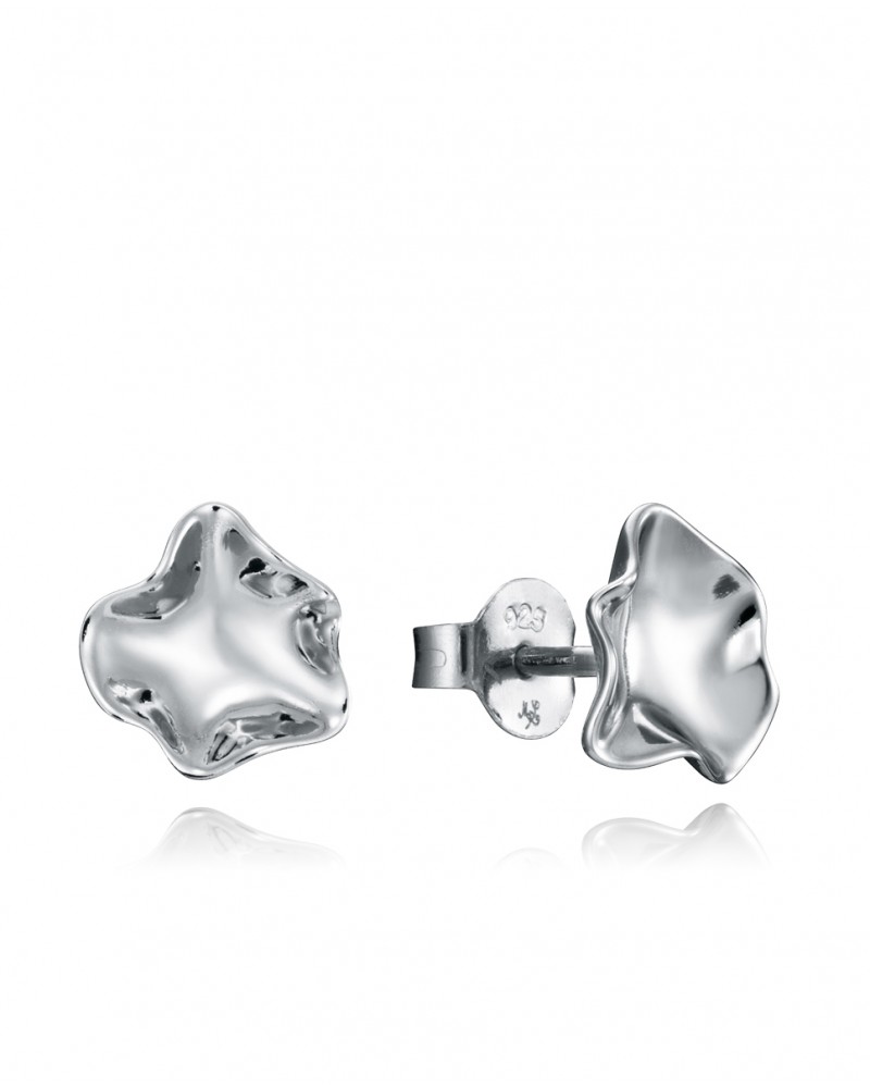 PENDIENTES VICEROY PLATA