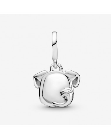 Charm Pandora colgante doble Mi perro mascota My best friend 799327C01