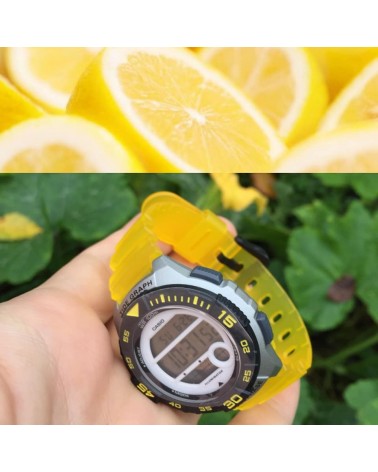 RELOJ CASIO MAREAS MEDIANO LWS-1100H-9AVEF - foto 4