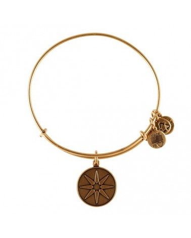 PULSERA ALEX AND ANI  A12EB08RG