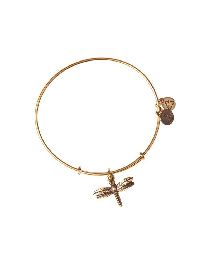 PULSERA ALEX AND ANI  A12EB16RG