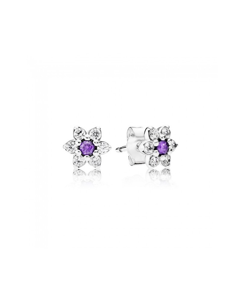 PANDORA EARRINGS DON&#39;T FORGET ME 290690ACZ