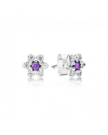 PANDORA EARRINGS DON&#39;T FORGET ME 290690ACZ