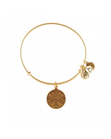 PULSERA ALEX AND ANI  A12EB03RG