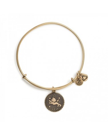 PULSERA ALEX AND ANI A07EB40LERG