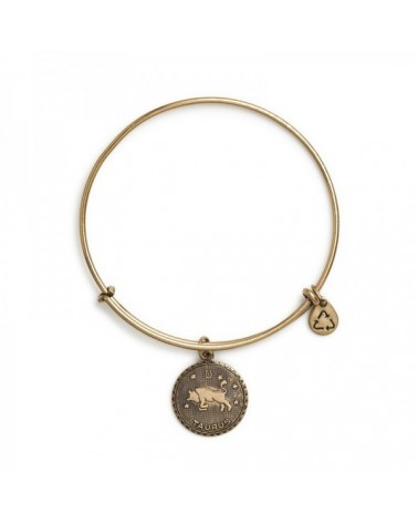 PULSERA ALEX AND ANI A07EB40TARG