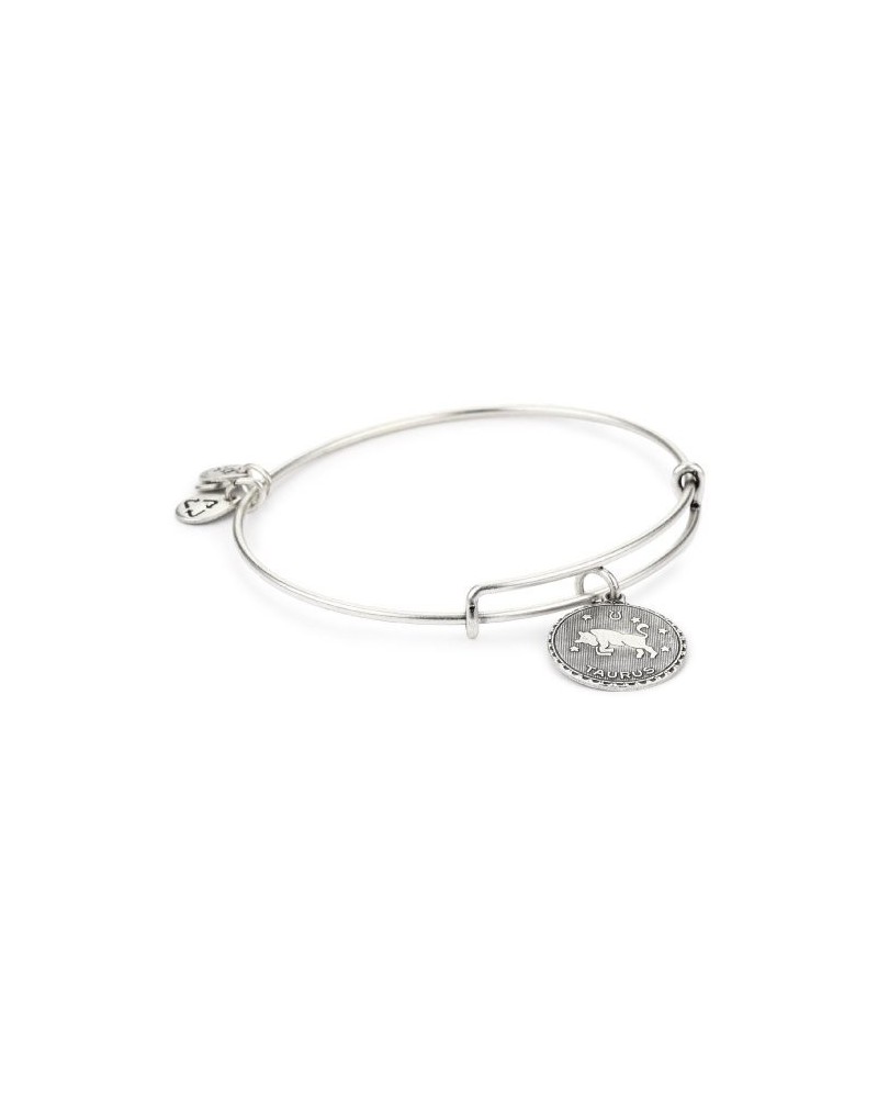 PULSERA ALEX AND ANI A07EB40TARS