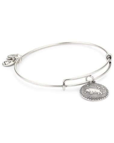 PULSERA ALEX AND ANI A07EB40TARS