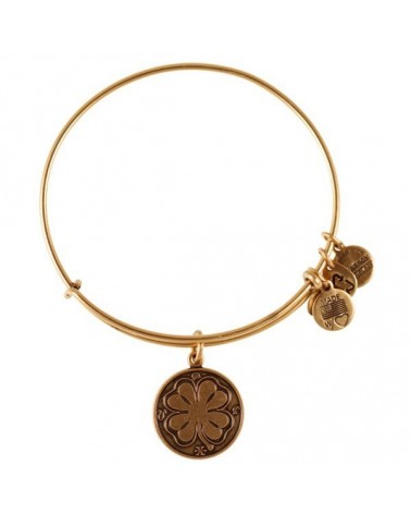 PULSERA ALEX AND ANI A12EB05RG