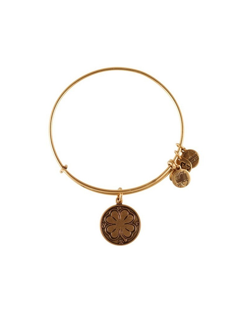 PULSERA ALEX AND ANI A12EB05RG