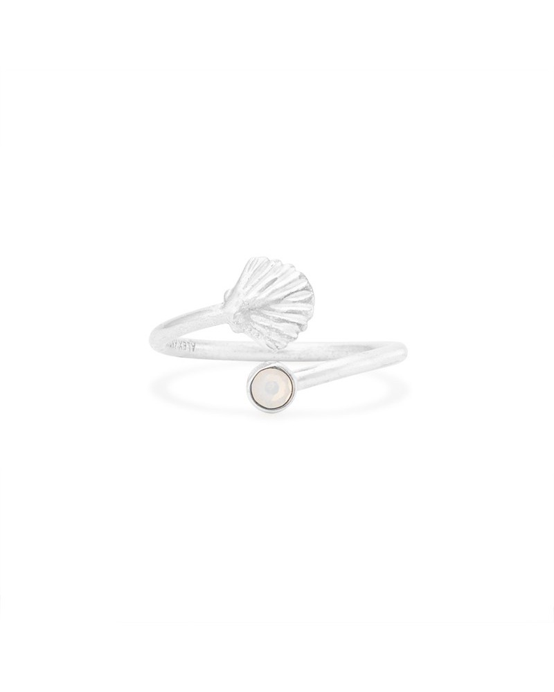 ANILLO ALEX AND ANI CONCHA PLATA